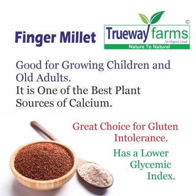 Trueway Farms Organic Finger Millet (ragi) 1.85 Kg