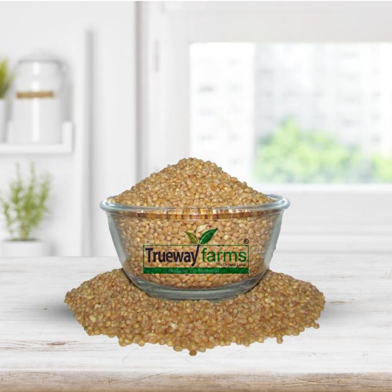 Trueway Farms - An Organic Land -nature To Natural Sona Moti Wheat (sonamoti Gehu) - Sugar Free Wheat (15 Kg)