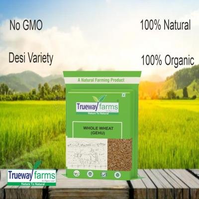 Trueway Farms Organic Sona Moti Wheat (sonamoti Gehu) –1.85kg