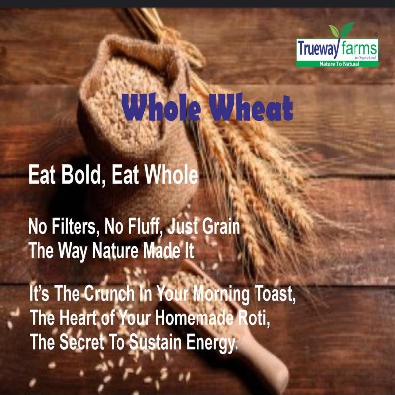 Trueway Farms Organic Sona Moti Wheat (sonamoti Gehu) –1.85kg